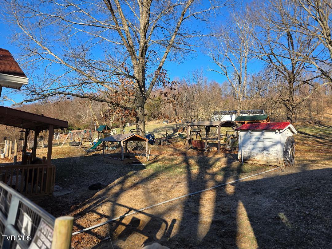 174 Double Springs Road Fall Branch, TN 37656 - Photo 24 of 30 Back Yard