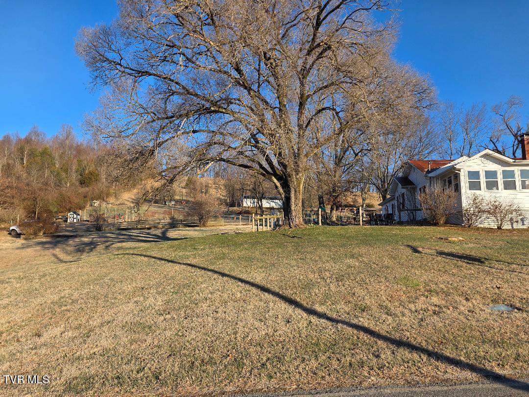 174 Double Springs Road Fall Branch, TN 37656 - Photo 29 of 30 Side yard