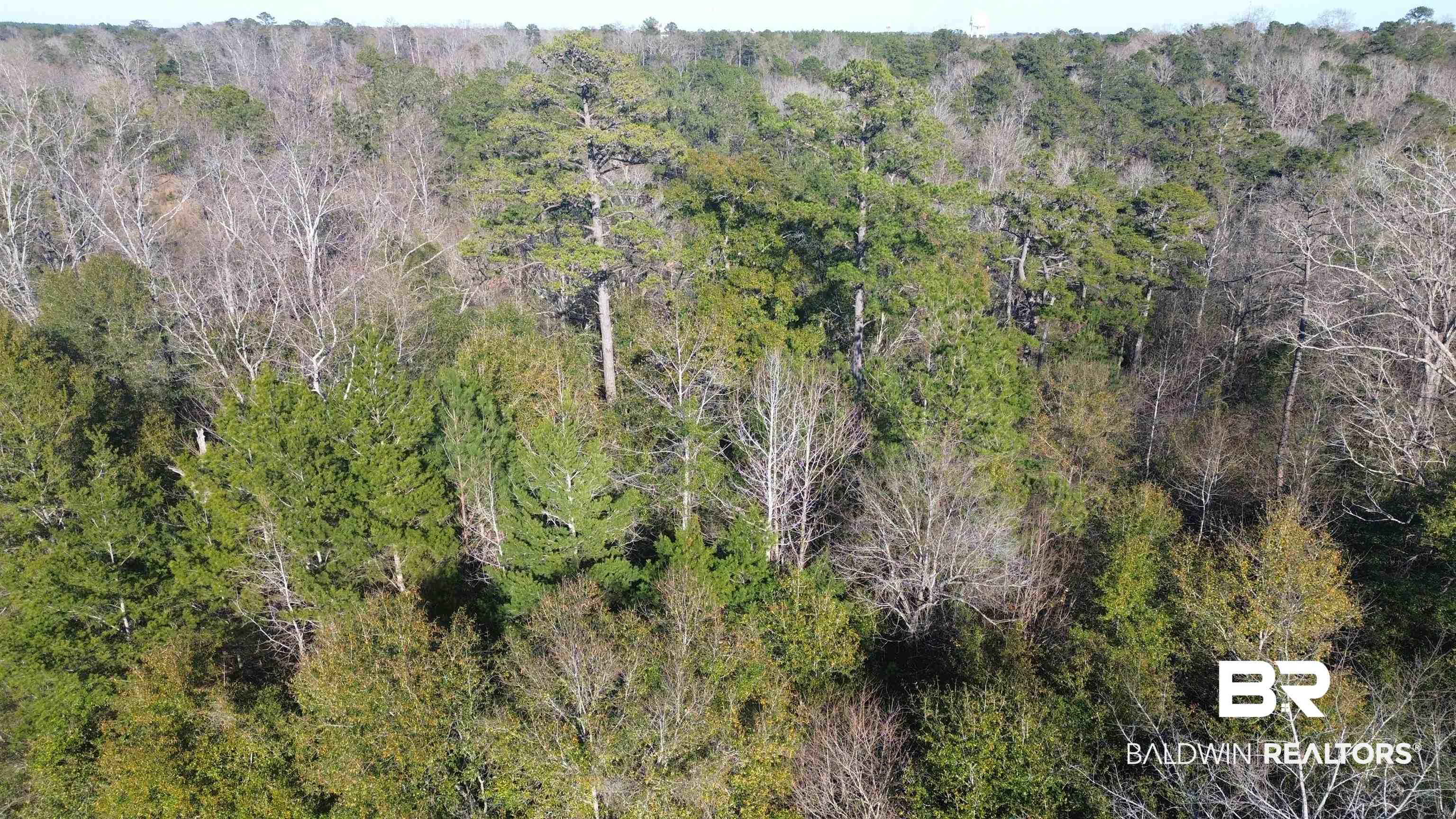 756 Ted Bates Road Evergreen, AL 36401 - Photo 21 of 28 Bird's eye view