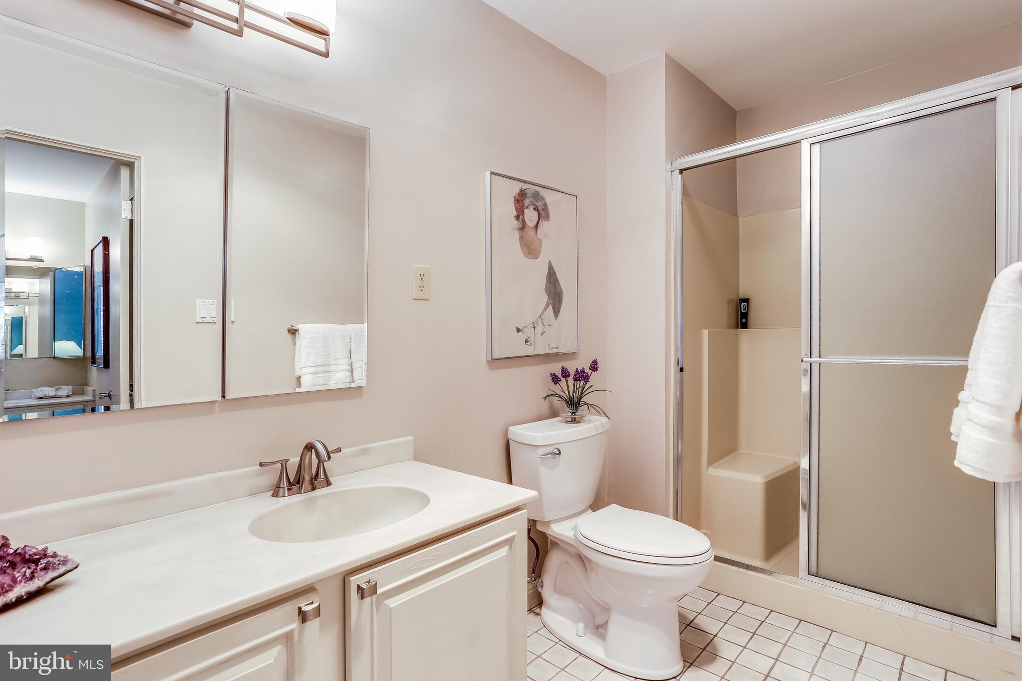 12302 Benson Branch Road Ellicott City, MD 21042 - Photo 18 of 43 Master Bath - Main Level