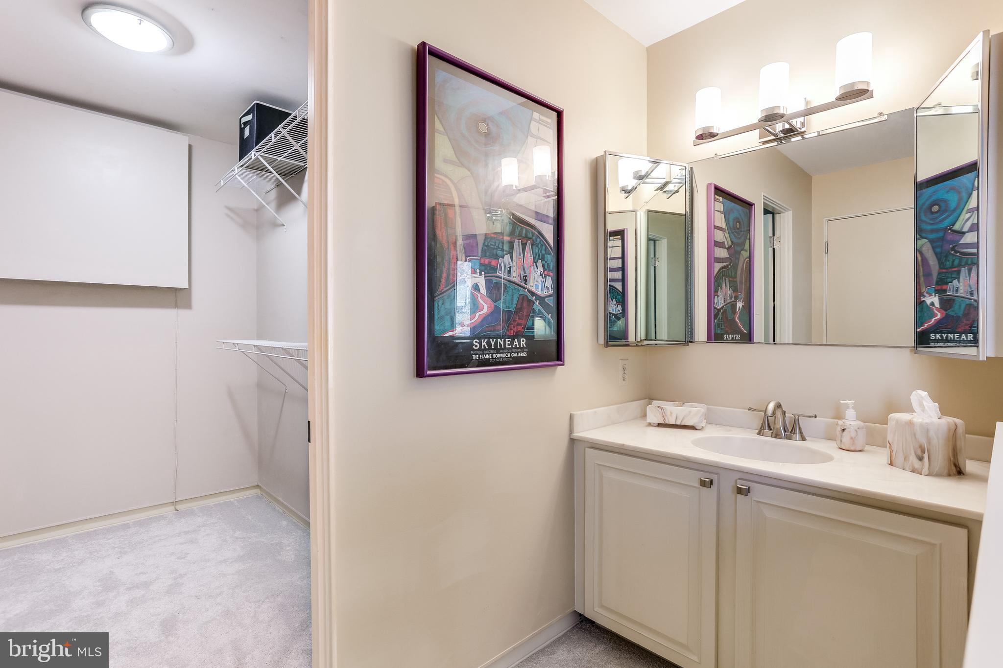 12302 Benson Branch Road Ellicott City, MD 21042 - Photo 19 of 43 Master Bath - Main Level