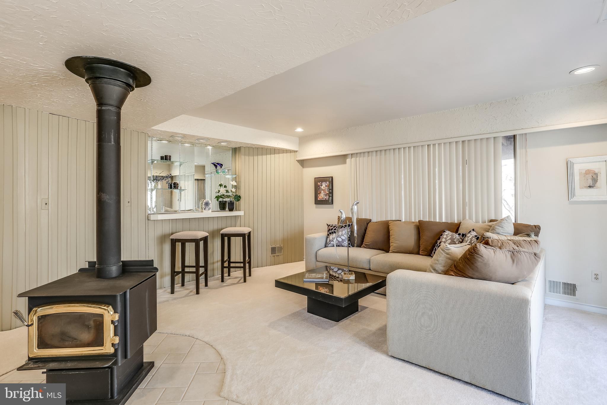 12302 Benson Branch Road Ellicott City, MD 21042 - Photo 28 of 43 Basement - Franklin Stove