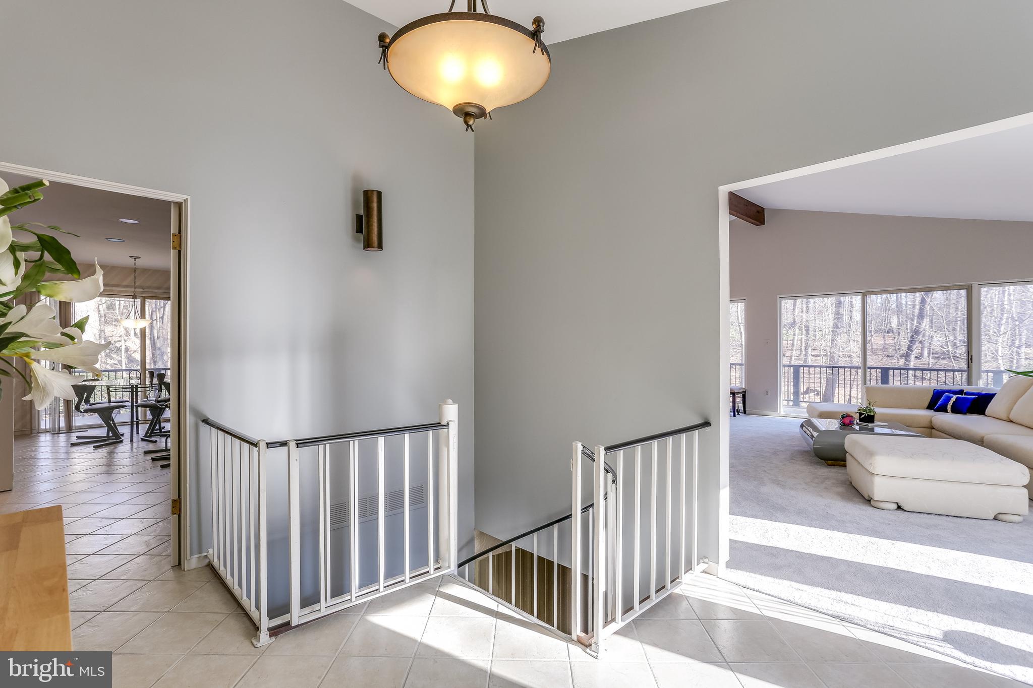 12302 Benson Branch Road Ellicott City, MD 21042 - Photo 4 of 43 Entry