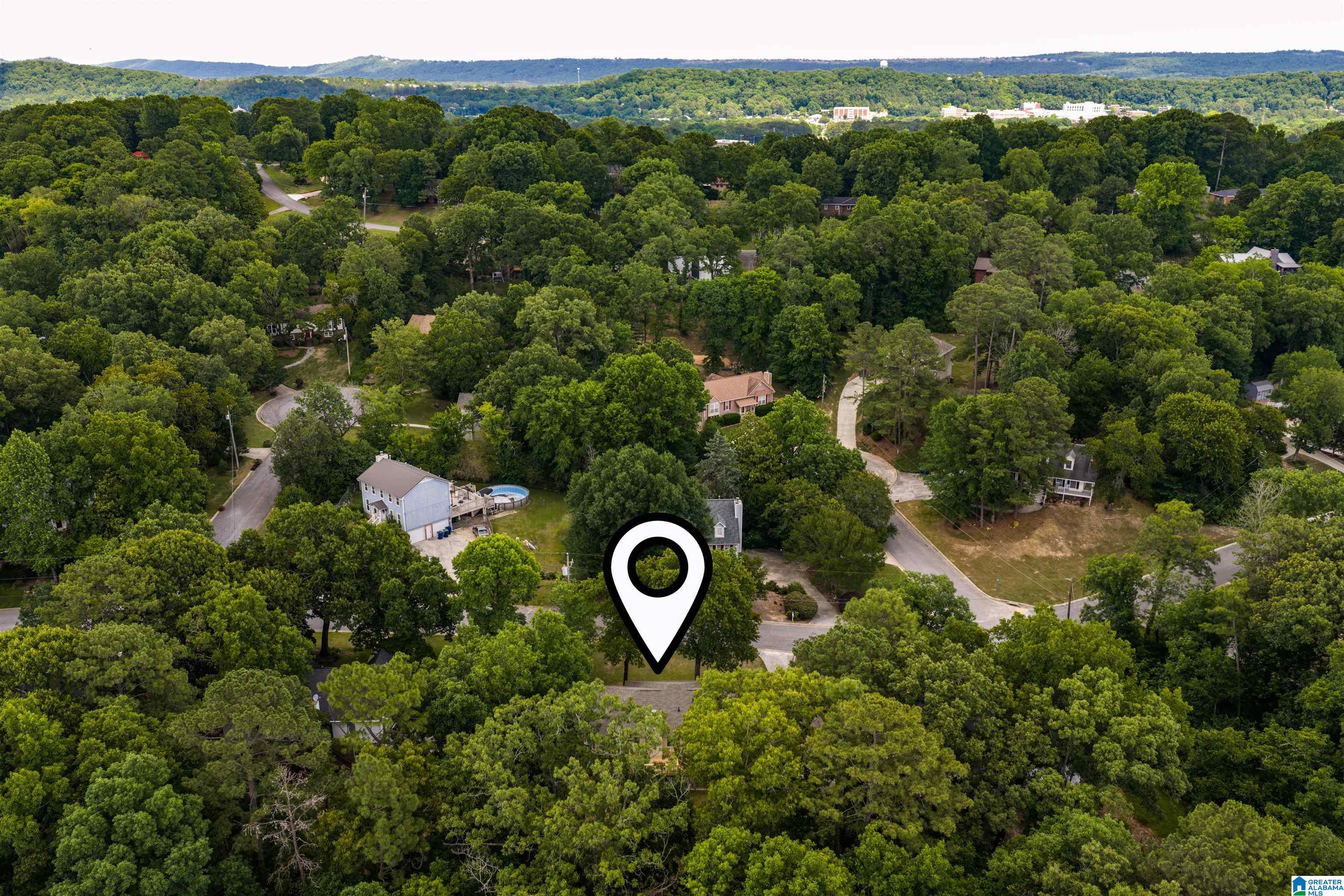 1209 Sequoia Trail Alabaster, AL 35007 - Photo 8 of 62