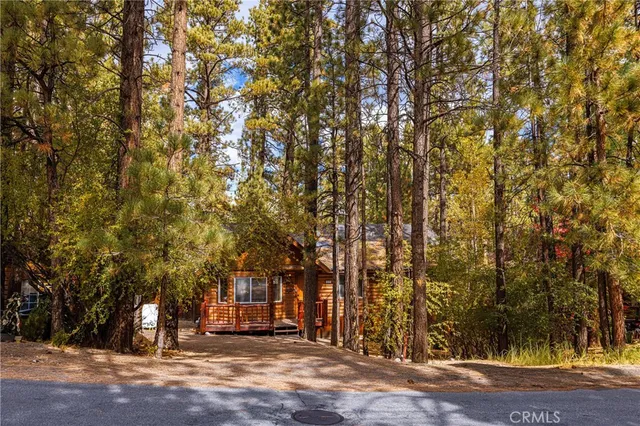 a view of outdoor space with yard