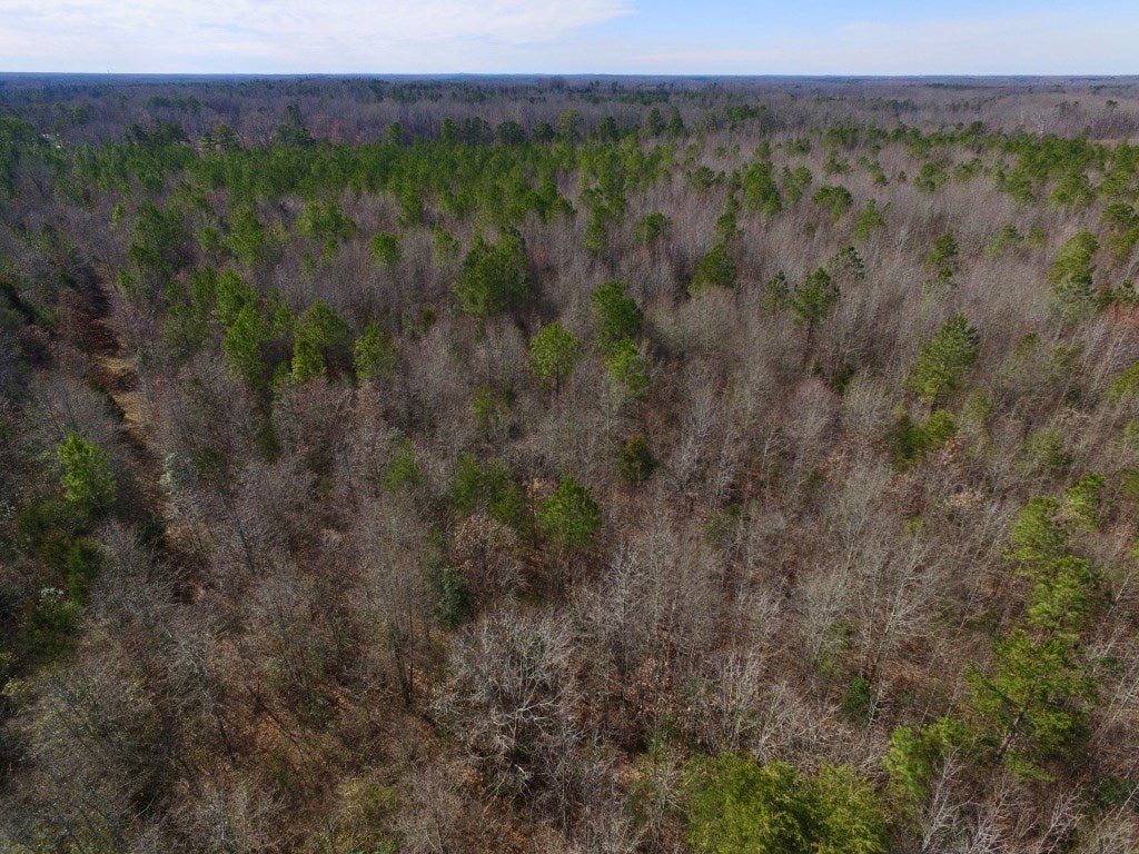 0 Taylor Ferry Road Boydton, VA 23917 - Photo 27 of 36 Gallery Image 27