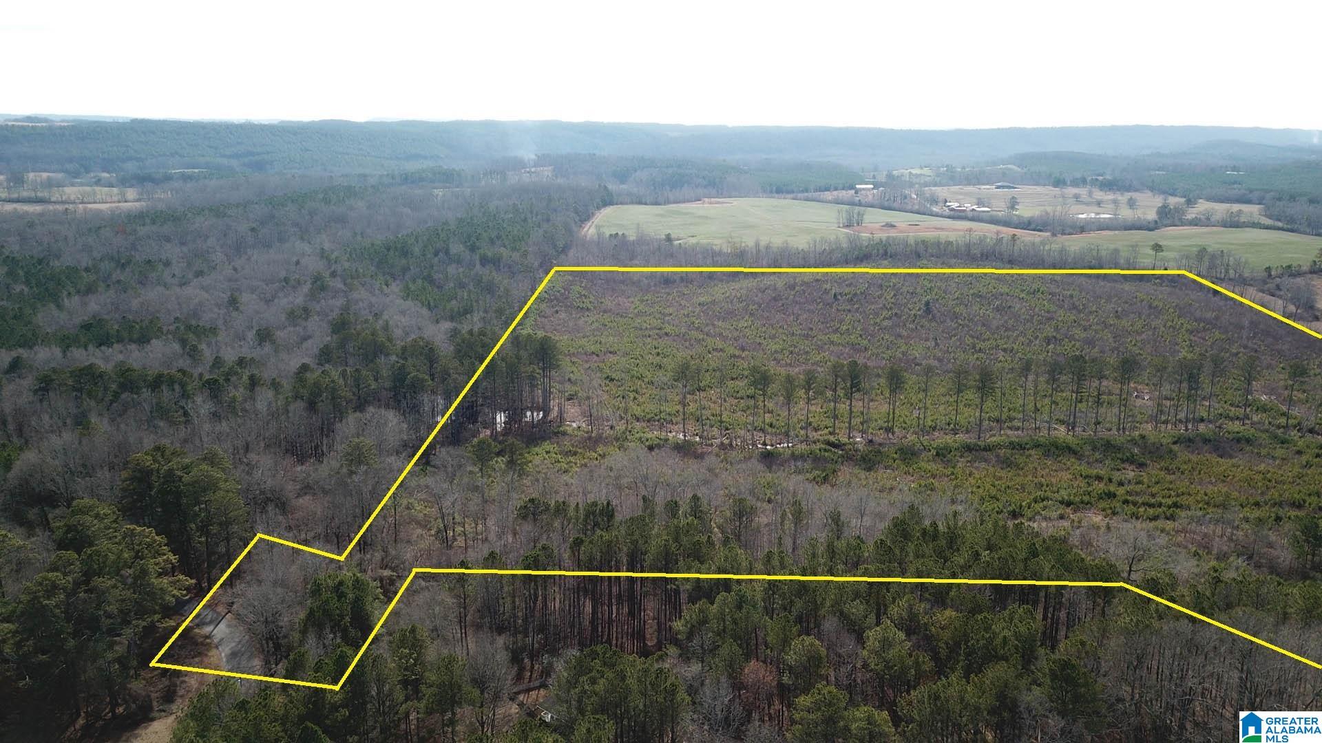 0 Altoona Cutoff Road, Unit 47 5 Oneonta, AL 35121 - Photo 4 of 36