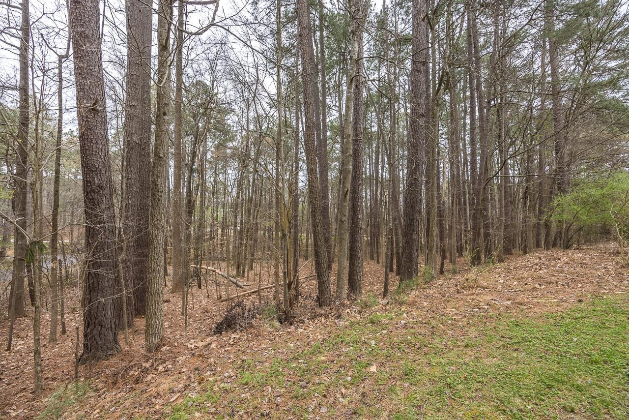 10001 Sycamore Road Raleigh, NC 27613 - Photo 37 of 41 Photo 37