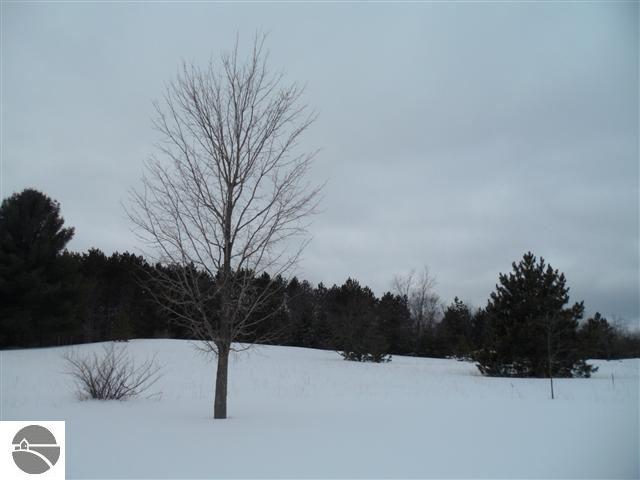 6156 West 50 Road Cadillac, MI 49601 - Photo 19 of 44 1742860-18.JPG