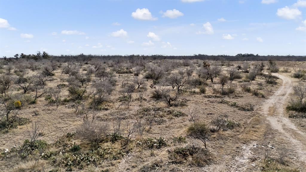 0 Co Road Eden, TX 76837 - Photo 4 of 6