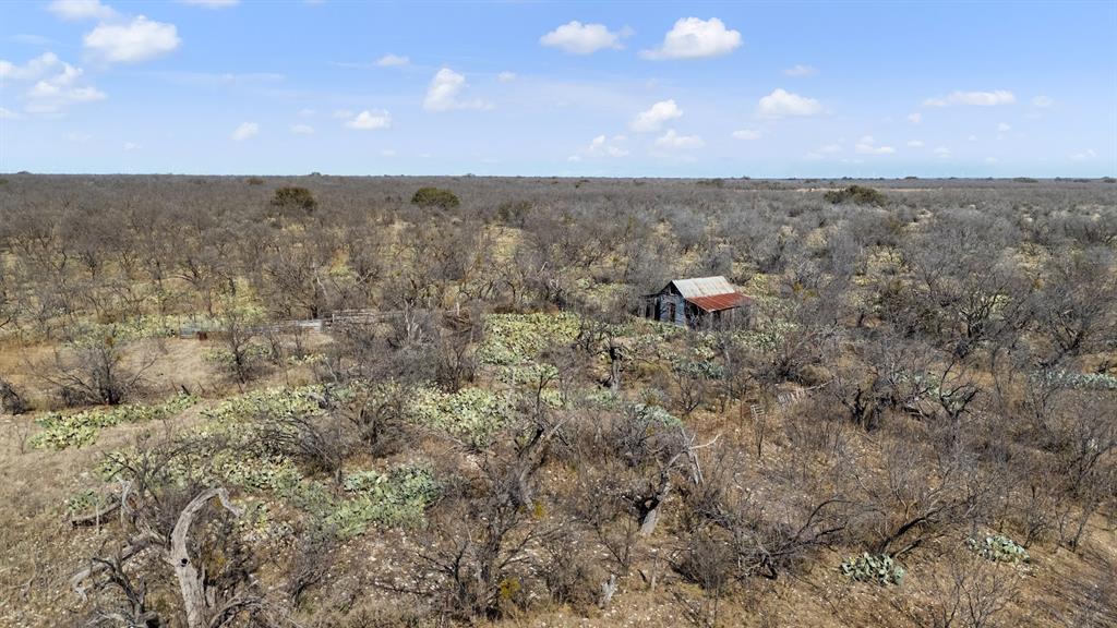 0 Co Road Eden, TX 76837 - Photo 5 of 6