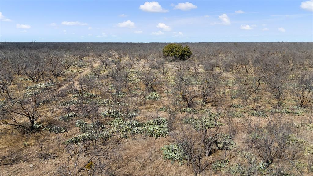 0 Co Road Eden, TX 76837 - Photo 6 of 6
