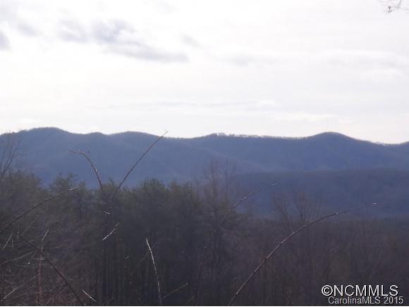 Lot #64 Deep Gap Farm Mill Spring Mill Spring, NC 28756 - Photo 1 of 24