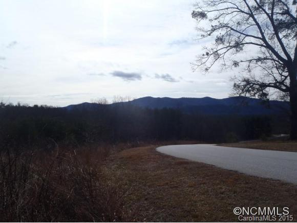 Lot #64 Deep Gap Farm Mill Spring Mill Spring, NC 28756 - Photo 2 of 24