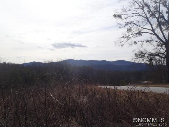 Lot #64 Deep Gap Farm Mill Spring Mill Spring, NC 28756 - Photo 11 of 24