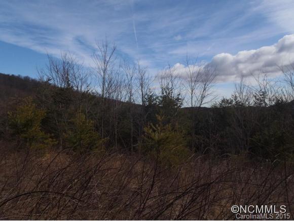 Lot #64 Deep Gap Farm Mill Spring Mill Spring, NC 28756 - Photo 13 of 24