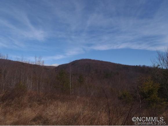 Lot #64 Deep Gap Farm Mill Spring Mill Spring, NC 28756 - Photo 15 of 24