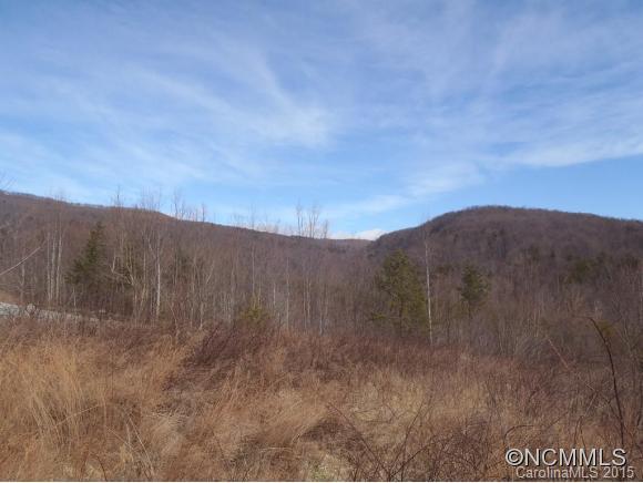 Lot #64 Deep Gap Farm Mill Spring Mill Spring, NC 28756 - Photo 16 of 24