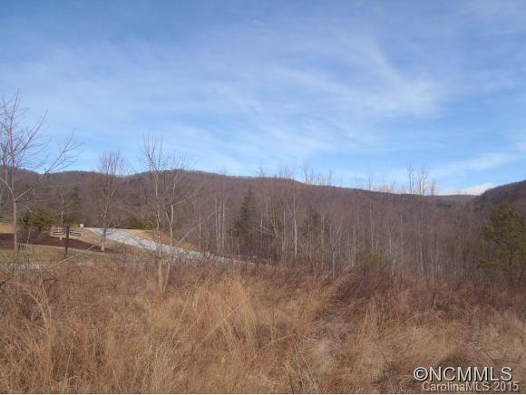 Lot #64 Deep Gap Farm Mill Spring Mill Spring, NC 28756 - Photo 17 of 24