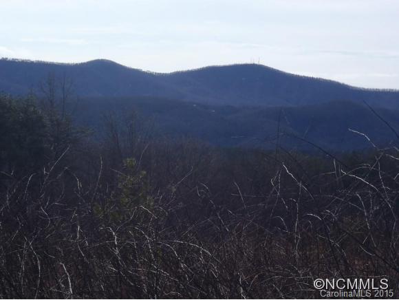Lot #64 Deep Gap Farm Mill Spring Mill Spring, NC 28756 - Photo 18 of 24