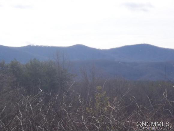 Lot #64 Deep Gap Farm Mill Spring Mill Spring, NC 28756 - Photo 19 of 24