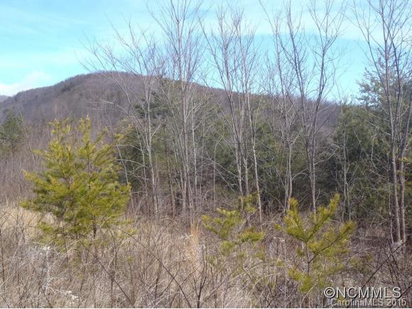 Lot #64 Deep Gap Farm Mill Spring Mill Spring, NC 28756 - Photo 20 of 24