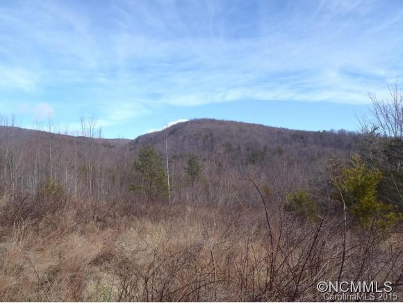 Lot #64 Deep Gap Farm Mill Spring Mill Spring, NC 28756 - Photo 3 of 24
