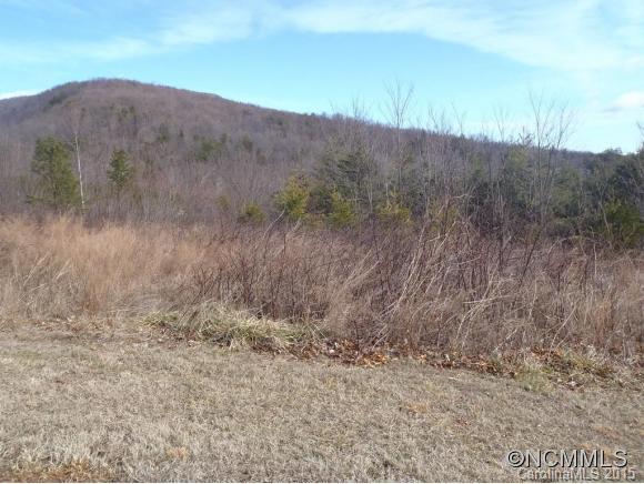 Lot #64 Deep Gap Farm Mill Spring Mill Spring, NC 28756 - Photo 21 of 24