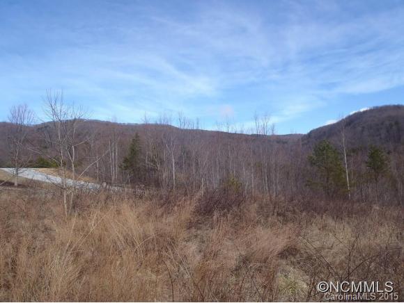 Lot #64 Deep Gap Farm Mill Spring Mill Spring, NC 28756 - Photo 4 of 24