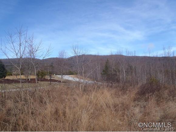 Lot #64 Deep Gap Farm Mill Spring Mill Spring, NC 28756 - Photo 5 of 24