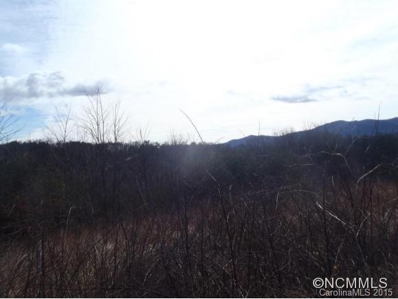 Lot #64 Deep Gap Farm Mill Spring Mill Spring, NC 28756 - Photo 7 of 24