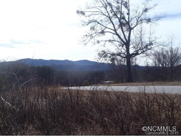 Lot #64 Deep Gap Farm Mill Spring Mill Spring, NC 28756 - Photo 10 of 24