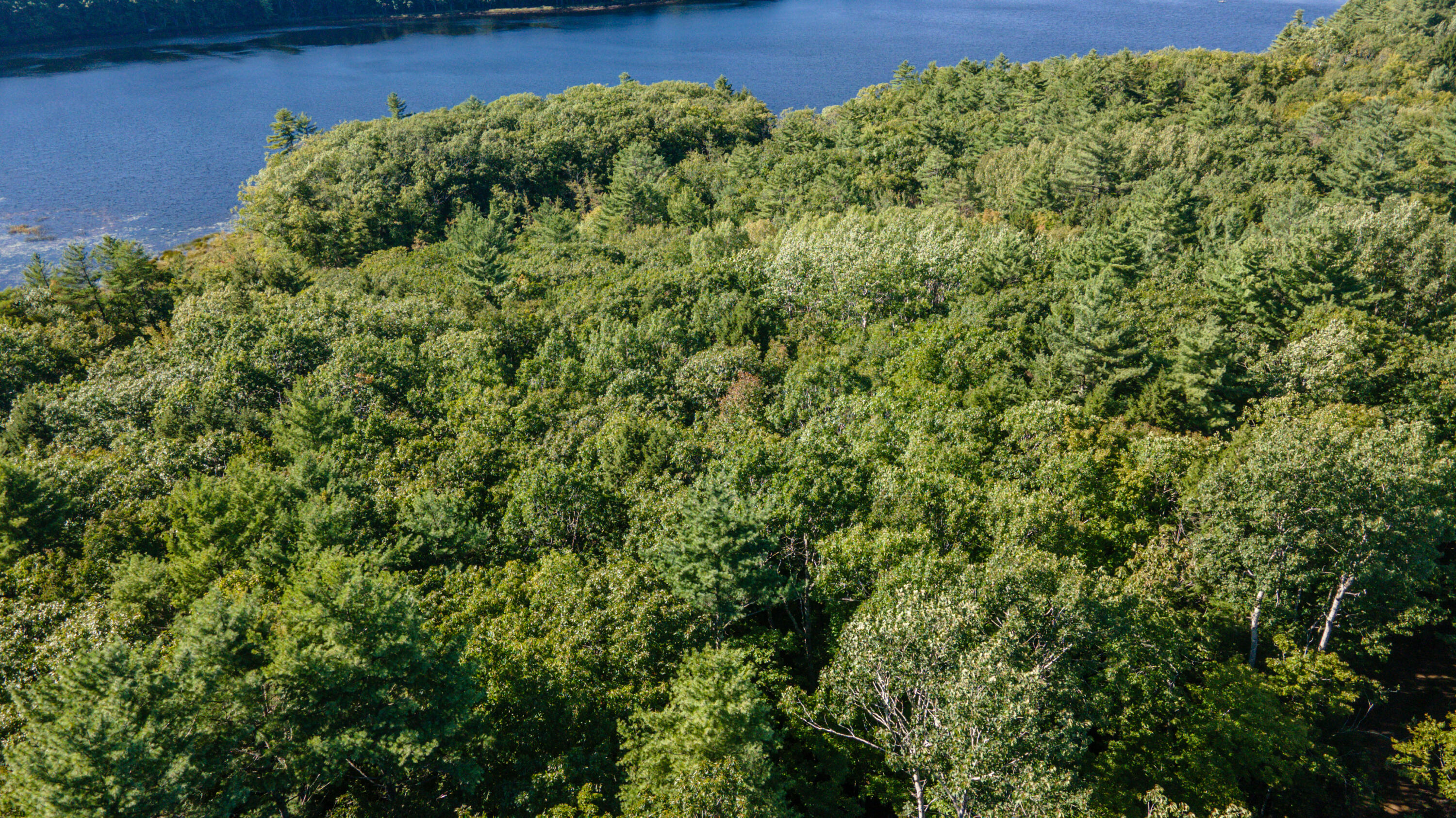 497 Litchfield Road Farmingdale, ME 04344 - Photo 2 of 15 Land5
