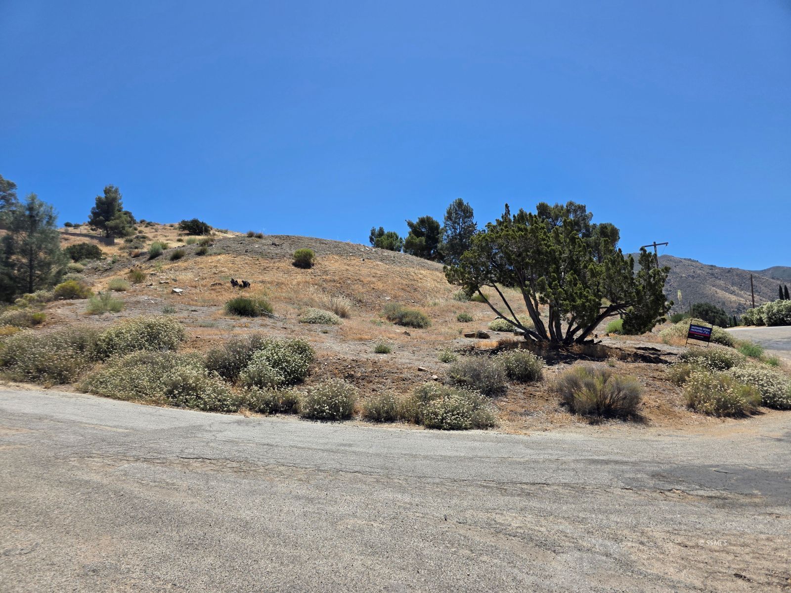 532 Piute Street Bodfish, CA 93205 - Photo 8 of 9