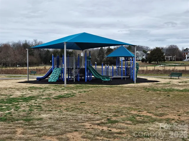 a view of a park with entertaining space