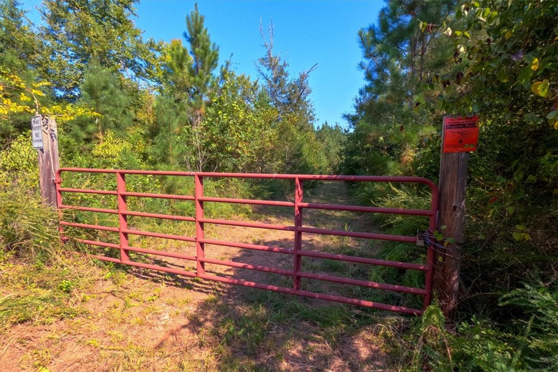 79.87-ac Sam Turner Road Iva, SC 29655 - Photo 1 of 18 Gallery Image 1