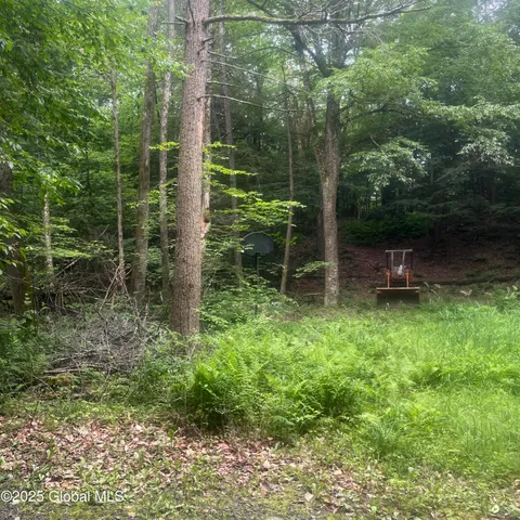 $44,000 | L40 Rainbow Way, Whitehall, NY 12887