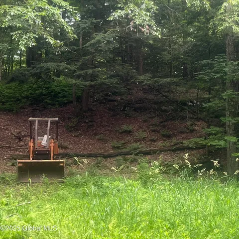 $44,000 | L40 Rainbow Way, Whitehall, NY 12887