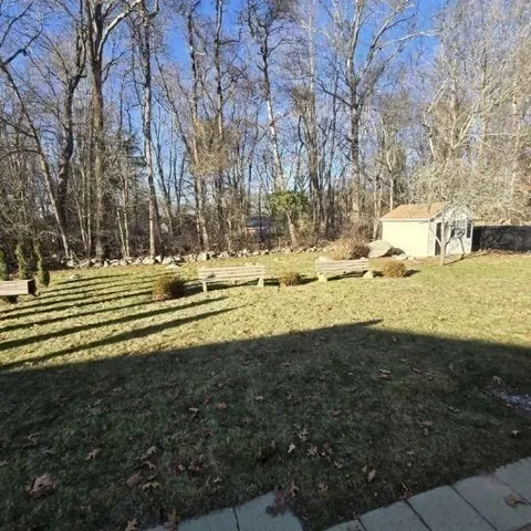 a view of a yard with large trees