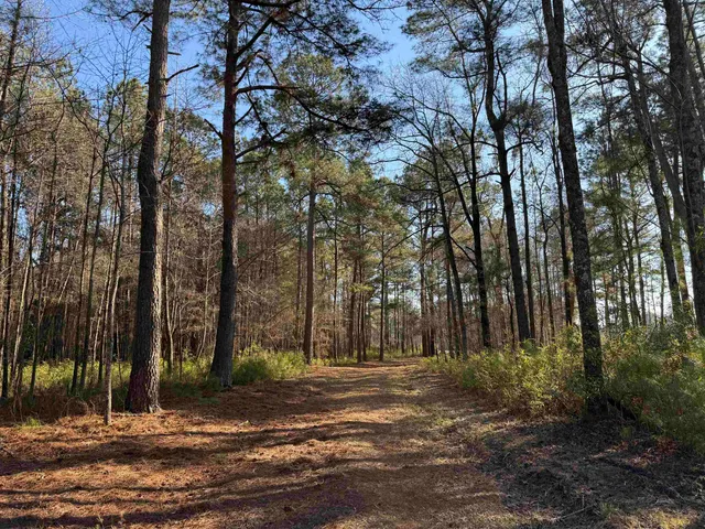 $134,000 | 23.30-acres-tbd Dainty Avenue, Kingstree, SC 29556
