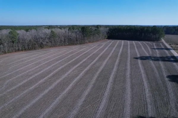 $134,000 | 23.30-acres-tbd Dainty Avenue, Kingstree, SC 29556