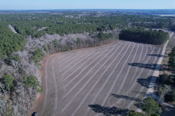 $134,000 | 23.30-acres-tbd Dainty Avenue, Kingstree, SC 29556