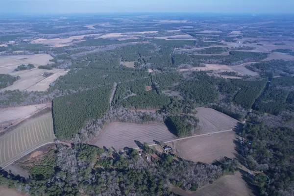 $134,000 | 23.30-acres-tbd Dainty Avenue, Kingstree, SC 29556
