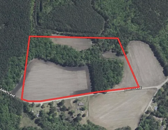 $134,000 | 23.30-acres-tbd Dainty Avenue, Kingstree, SC 29556