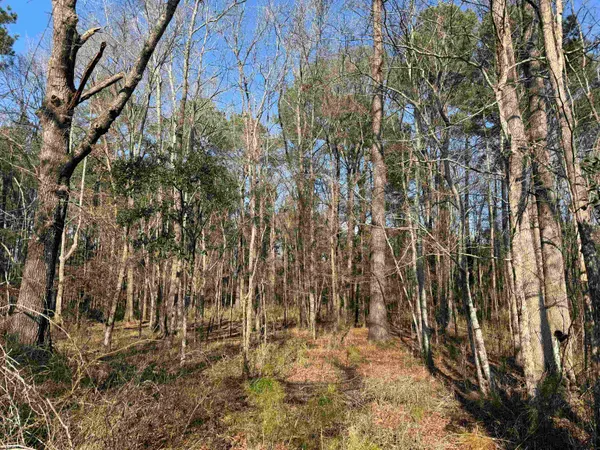 $134,000 | 23.30-acres-tbd Dainty Avenue, Kingstree, SC 29556