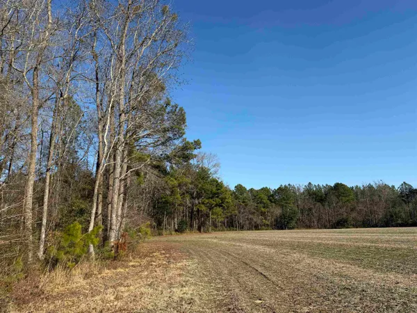 $134,000 | 23.30-acres-tbd Dainty Avenue, Kingstree, SC 29556