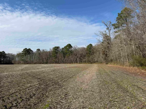 $134,000 | 23.30-acres-tbd Dainty Avenue, Kingstree, SC 29556