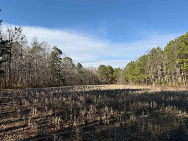 $134,000 | 23.30-acres-tbd Dainty Avenue, Kingstree, SC 29556
