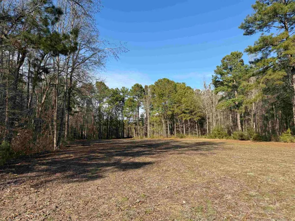 $134,000 | 23.30-acres-tbd Dainty Avenue, Kingstree, SC 29556