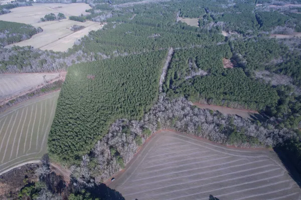 $134,000 | 23.30-acres-tbd Dainty Avenue, Kingstree, SC 29556